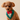 Floof & Co Banaras Tux Bandana  - Green