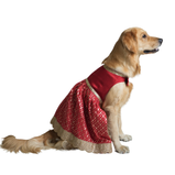 Brocade Lehenga for Dogs – Red & Gold Ethnic Pet Dress | Wedding & Festive Outfit – Floof & Co