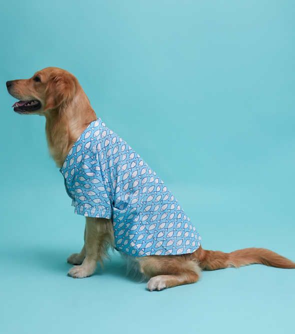 Fish Print Dog Shirt – Sky Blue Casual Shirt for Dogs | Floof & Co