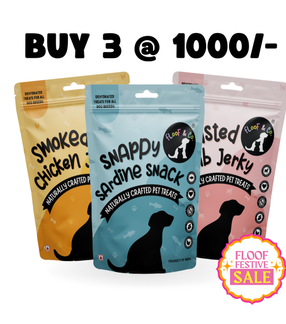 Buy pet accessories online online