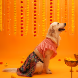 Floral Lehenga for Dogs – Pink & Purple Designer Pet Outfit | Festive Wear for Female Dogs – Floof & Co