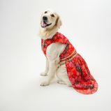 Floral Lehenga for Dogs – Red Designer Pet Dress | Traditional & Festive Outfit – Floof & Co