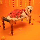 Floral Lehenga for Dogs – Red Designer Pet Dress | Traditional & Festive Outfit – Floof & Co