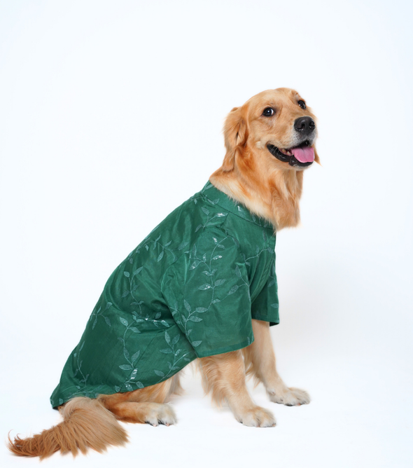Embroidered Dog Kurta – Green Silk Festive Wear for Dogs | Floof & Co