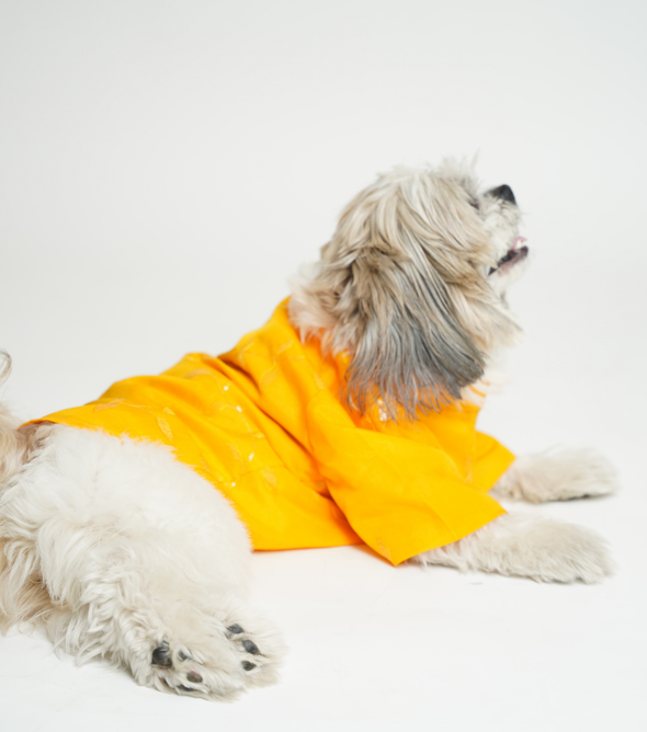 Floral Print Dog Kurta – Yellow Traditional Outfit for Dogs | Floof & Co