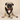 Floof & Co Ikat Tux Bandana - Black & Maroon Bow
