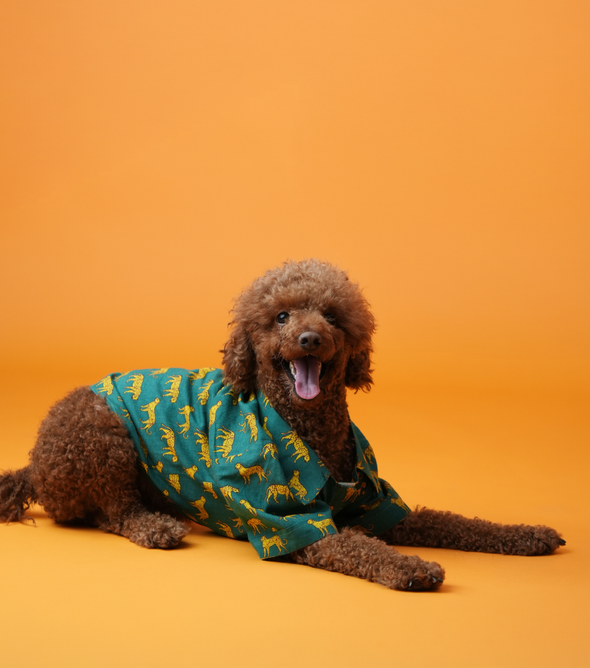 Leopard Print Dog Shirt – Green Safari Style Pet Shirt | Floof & Co