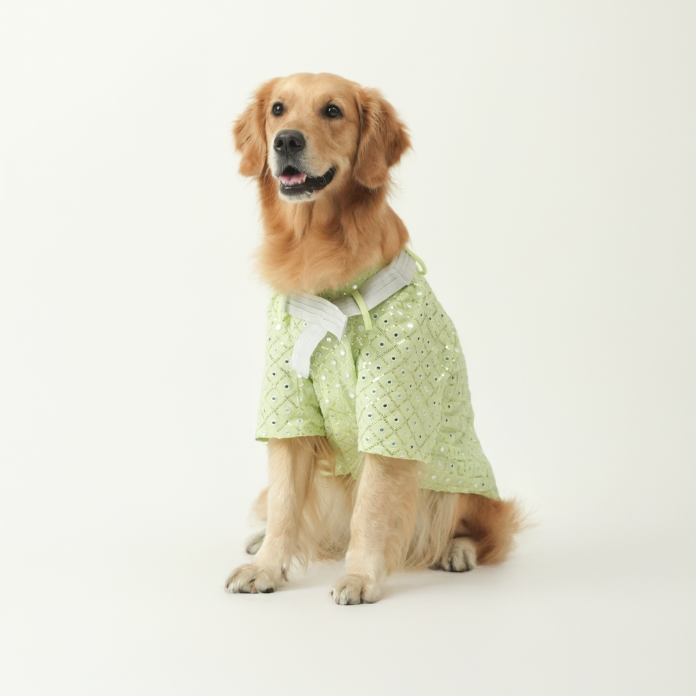 Mirror Sequin Dog Kurta Mint Green Ethnic Wear for Dogs | Floof & Co Floof and Co Mirror Sequin Dog Kurta Mint Green Ethnic Wear for Dogs | Floof & Co Floof and Co