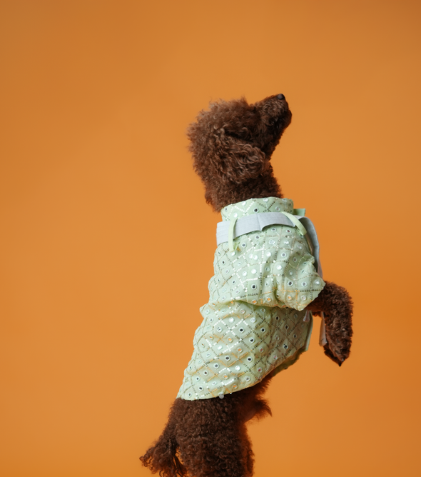 Mirror Sequin Dog Kurta – Mint Green Ethnic Wear for Dogs | Floof & Co