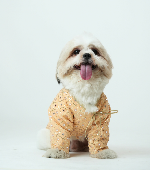Mirror Sequin Dog Kurta – Peach Traditional Wear for Dogs | Floof & Co