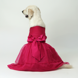 Dark Pink Organza Dog Dress for Female Dogs