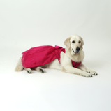 Dark Pink Organza Dog Dress for Female Dogs