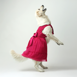 Dark Pink Organza Dog Dress for Female Dogs