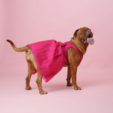 Dark Pink Organza Dog Dress for Female Dogs