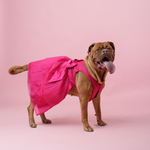Dark Pink Organza Dog Dress for Female Dogs