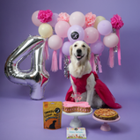 Dark Pink Organza Dog Dress for Female Dogs