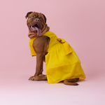 Yellow Organza Dog Dress for Female Dogs