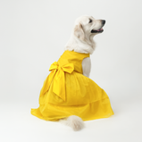 Yellow Organza Dog Dress for Female Dogs