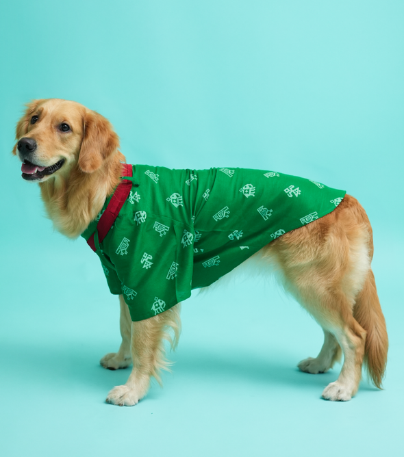 Patola Print Dog Kurta – Green Ethnic Wear for Male Dogs | Floof & Co