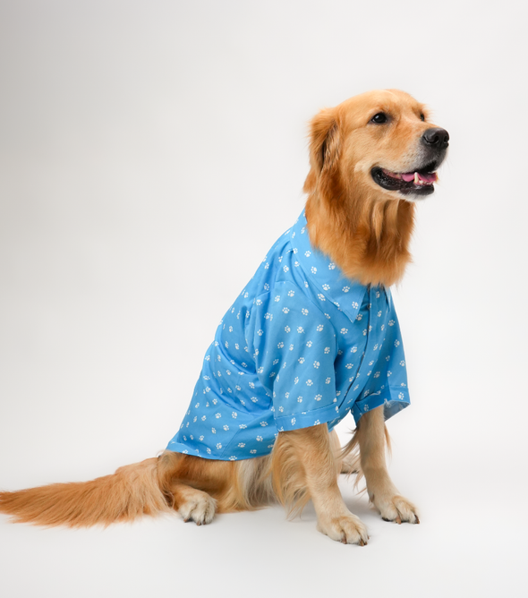 Paw Print Dog Shirt – Sky Blue Everyday Shirt for Dogs | Floof & Co