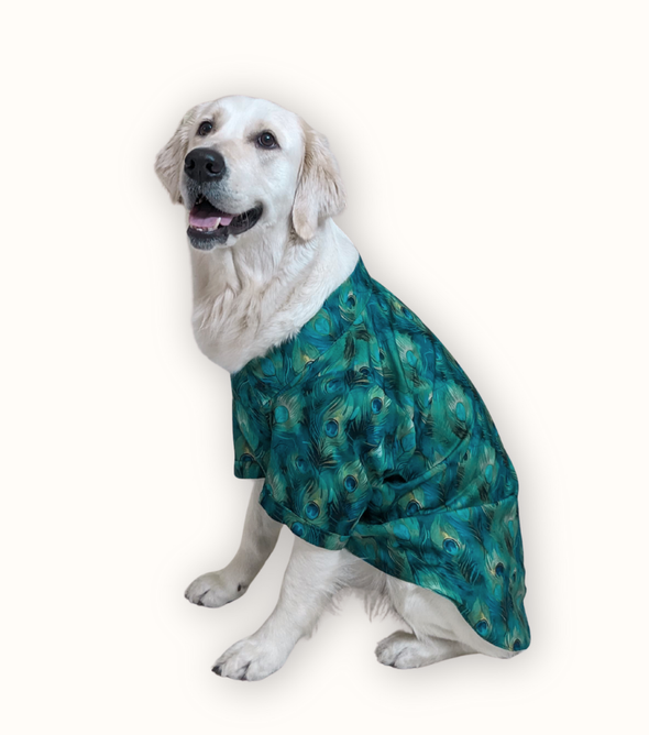Peacock Print Dog Shirt – Elegant Green Printed Shirt for Dogs | Floof & Co