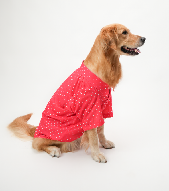 Polka Dots Dog Shirt – Red Cotton Shirt for Dogs | Floof & Co