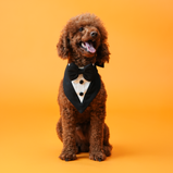 Classic Tux Bandana for Dogs – Black & White Formal Bow Tie Bandana | Floof & Co