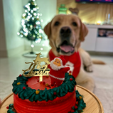 Christmas Cake - Hyderabad Only