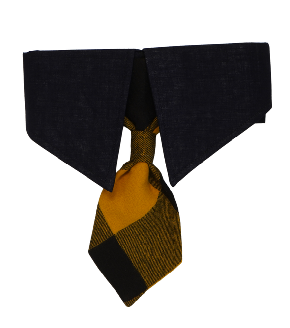 Checks Tie Collar