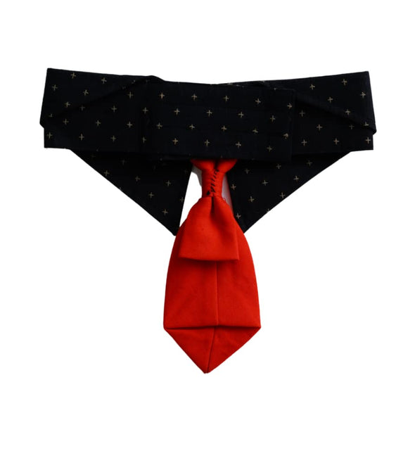 Black & Red Silk Tie Collar