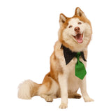 Black & Green Silk Tie Collar