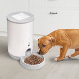 Pet Feeder (Dry)