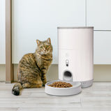 Pet Feeder (Dry)