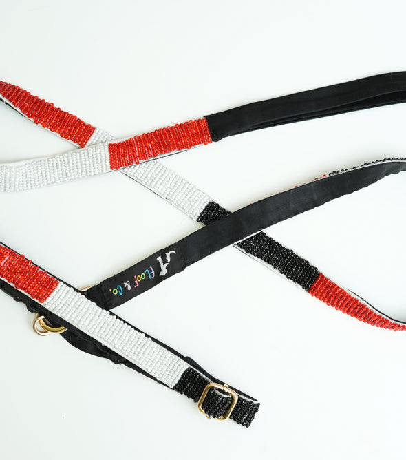 Tricolor Leash & Collar- Floofandco Luxury Premium Dog Leash and Collar for Small Medium and Large Dogs