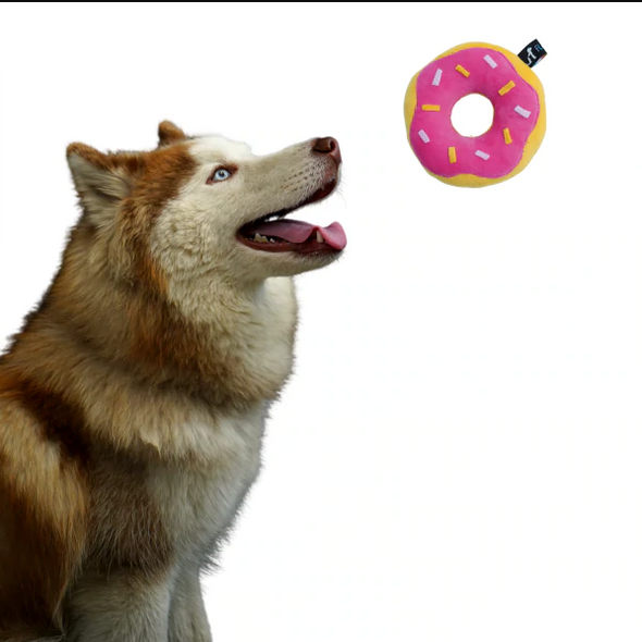 Dog Toys Online Shopping Buy Puppy Toys Pet Toys Online