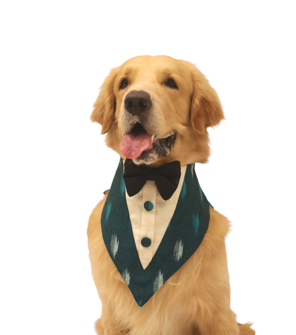 Green Ikat Tux Bandana